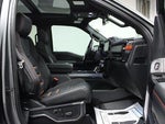 2025 F-150 Thumbnail 15
