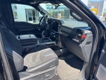 2023 F-150 Thumbnail 4