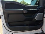 2024 F-150 Thumbnail 13
