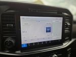 2025 F-150 Thumbnail 19