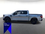 2024 F-150 Thumbnail 6