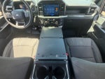 2024 F-150 Thumbnail 24