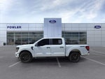 2024 F-150 Thumbnail 4