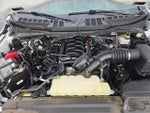 2024 F-150 Thumbnail 19