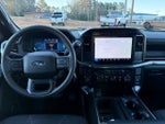 2024 F-150 Thumbnail 10