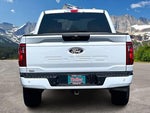 2025 F-150 Thumbnail 4