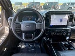 2025 F-150 Thumbnail 5