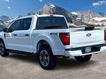 2025 F-150 Thumbnail 12
