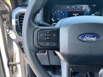 2025 F-150 Thumbnail 18