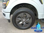 2025 F-150 Thumbnail 9