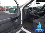2025 F-150 Thumbnail 11