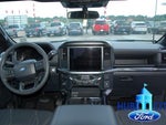2025 F-150 Thumbnail 18