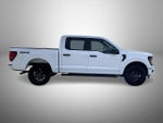 2024 F-150 Thumbnail 4