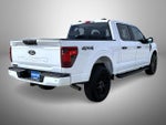 2024 F-150 Thumbnail 5