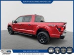 2025 F-150 Thumbnail 4