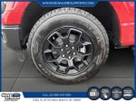 2025 F-150 Thumbnail 6