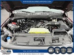 2025 F-150 Thumbnail 7
