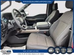 2025 F-150 Thumbnail 8