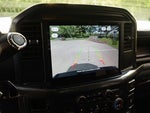 2025 F-150 Thumbnail 10