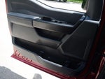 2025 F-150 Thumbnail 17