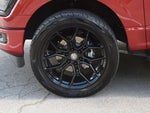 2025 F-150 Thumbnail 28