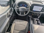 2024 F-150 Thumbnail 7
