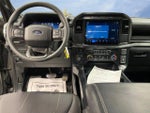 2024 F-150 Thumbnail 9