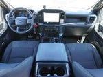 2024 F-150 Thumbnail 15