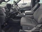2024 F-150 Thumbnail 5