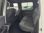 2024 F-150 Thumbnail 6