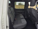 2024 F-150 Thumbnail 13