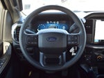 2025 F-150 Thumbnail 6