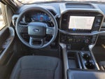 2024 F-150 Thumbnail 18
