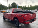 2024 F-150 Thumbnail 5