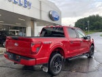 2024 F-150 Thumbnail 7