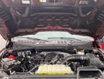 2024 F-150 Thumbnail 10