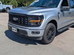2024 F-150 Thumbnail 9