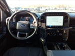 2024 F-150 Thumbnail 9