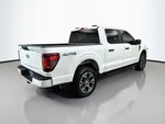 2025 F-150 Thumbnail 6