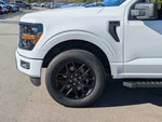 2025 F-150 Thumbnail 11