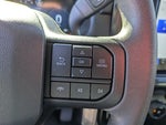 2025 F-150 Thumbnail 20