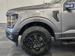 2024 F-150 Thumbnail 11