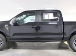 2024 F-150 Thumbnail 7