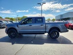 2024 F-150 Thumbnail 7