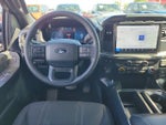 2024 F-150 Thumbnail 12