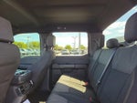 2024 F-150 Thumbnail 14