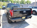 2024 F-150 Thumbnail 4
