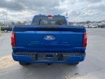 2024 F-150 Thumbnail 6