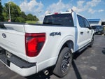 2024 F-150 Thumbnail 7