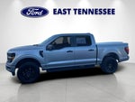 2024 F-150 Thumbnail 6